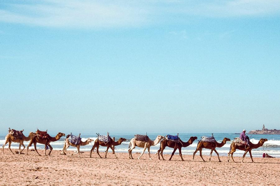 Whether you’re looking to surf up a storm or catch some rays, these Moroccan beaches are sun-soaked favourites for travellers