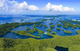 Dive into one of the world’s last frontiers to learn about marine conservation, snorkel across kaleidoscopic coral reefs and more