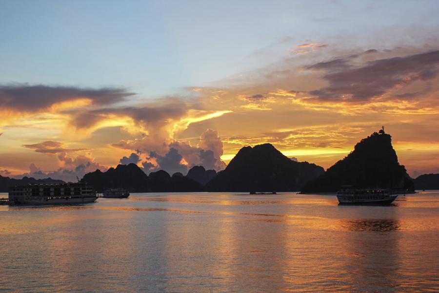 From UNESCO heritage to diverse flora and fauna, Vietnam's famous bay is worth the boat ride